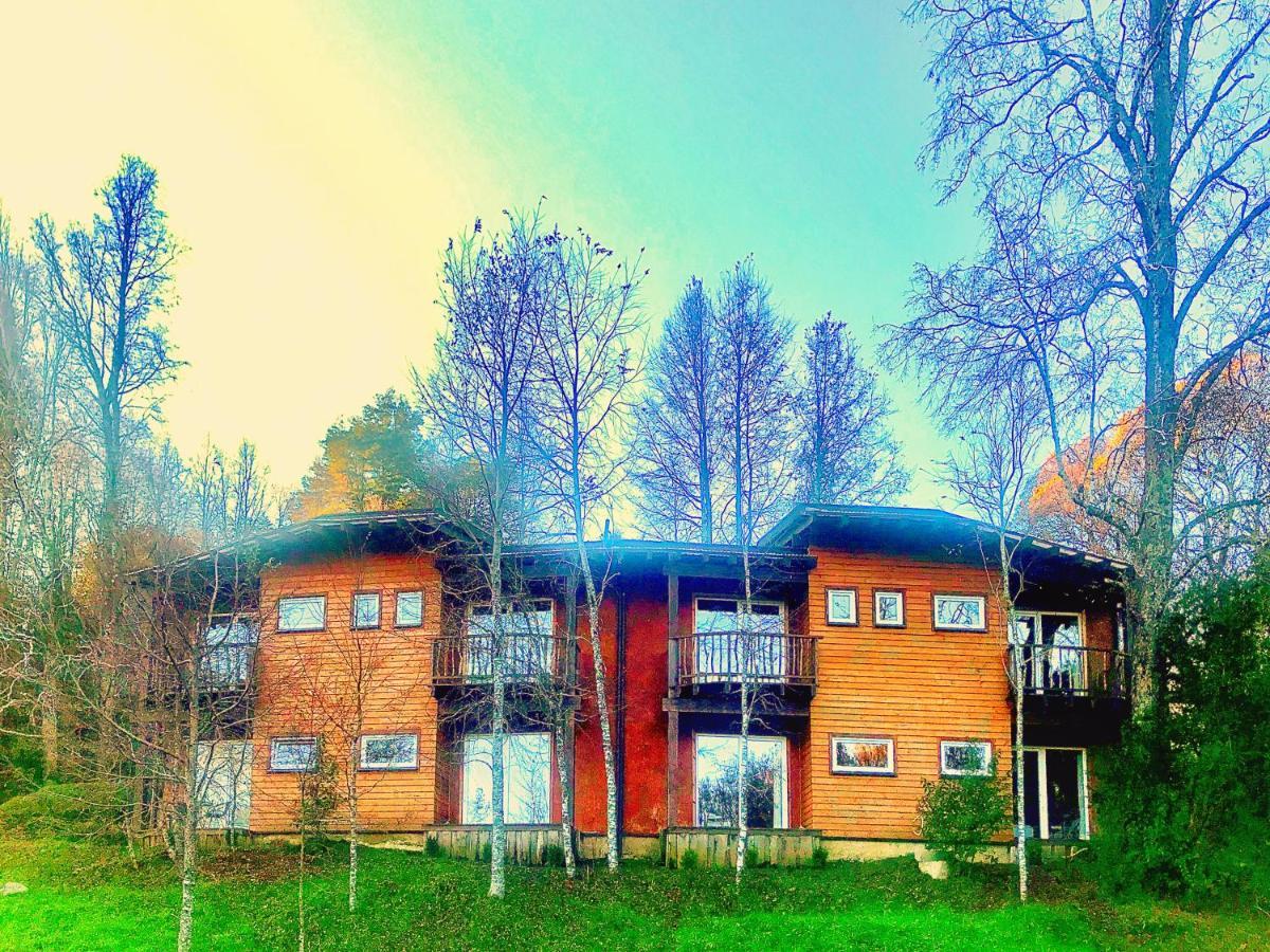 Elementos Eco Lodge Pucón Zewnętrze zdjęcie