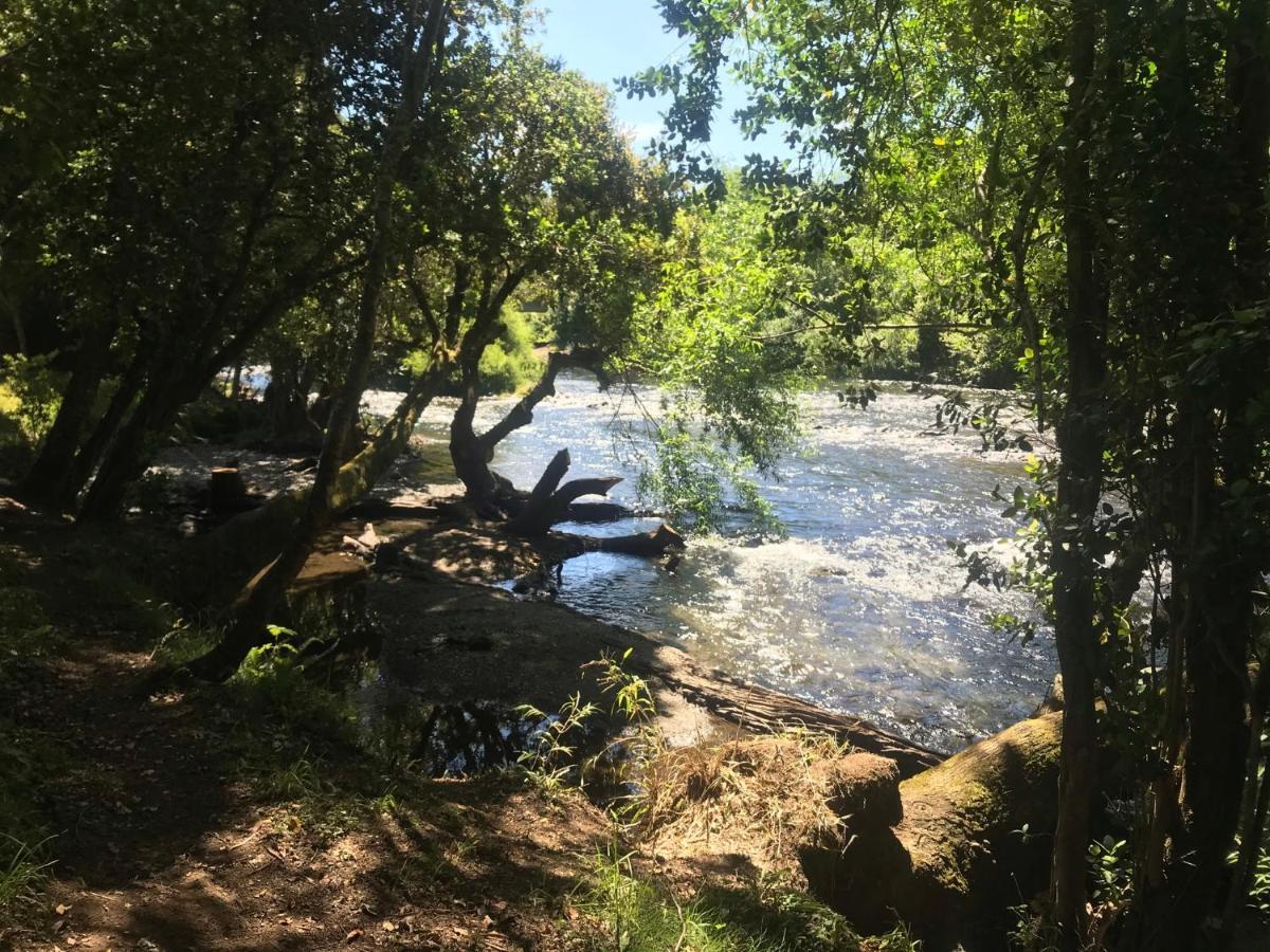 Elementos Eco Lodge Pucón Zewnętrze zdjęcie
