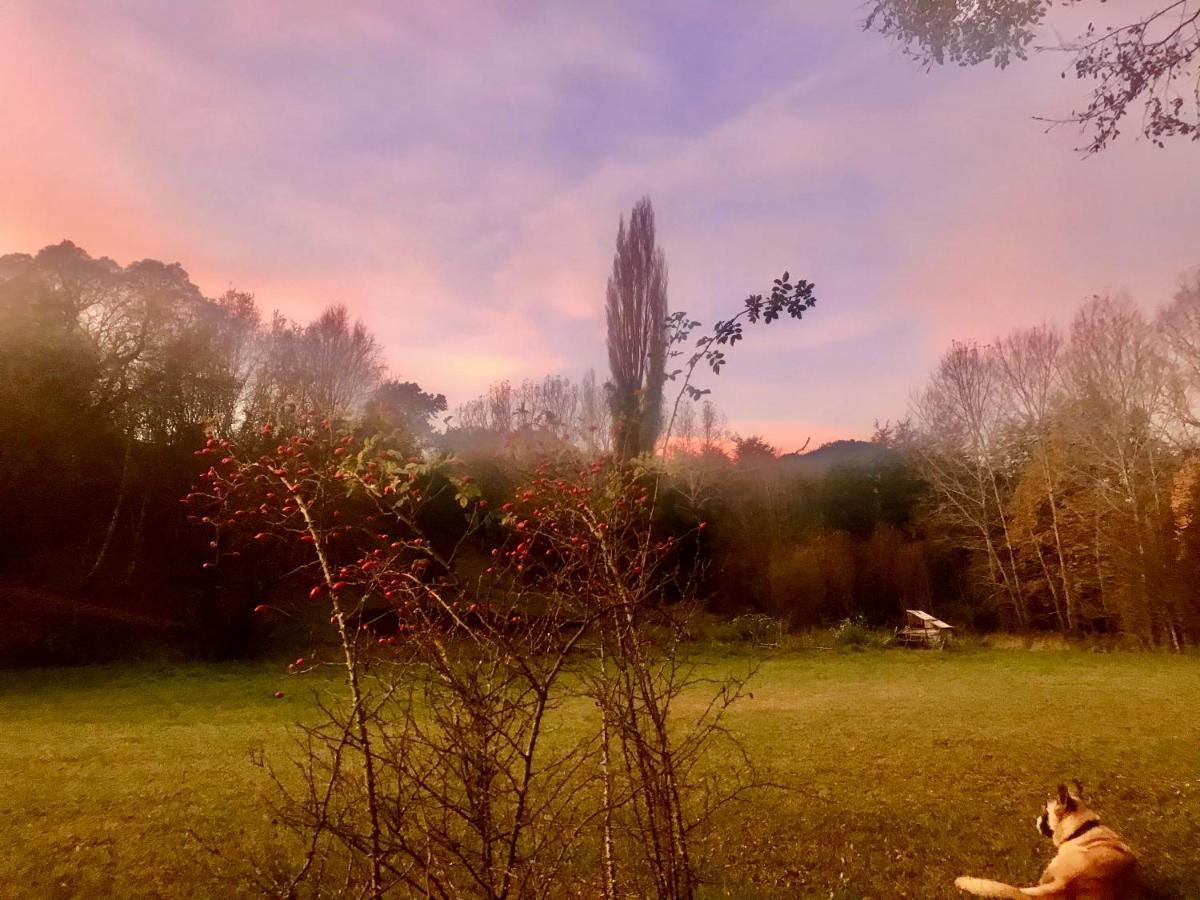 Elementos Eco Lodge Pucón Zewnętrze zdjęcie