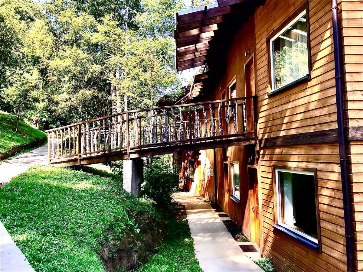 Elementos Eco Lodge Pucón Zewnętrze zdjęcie
