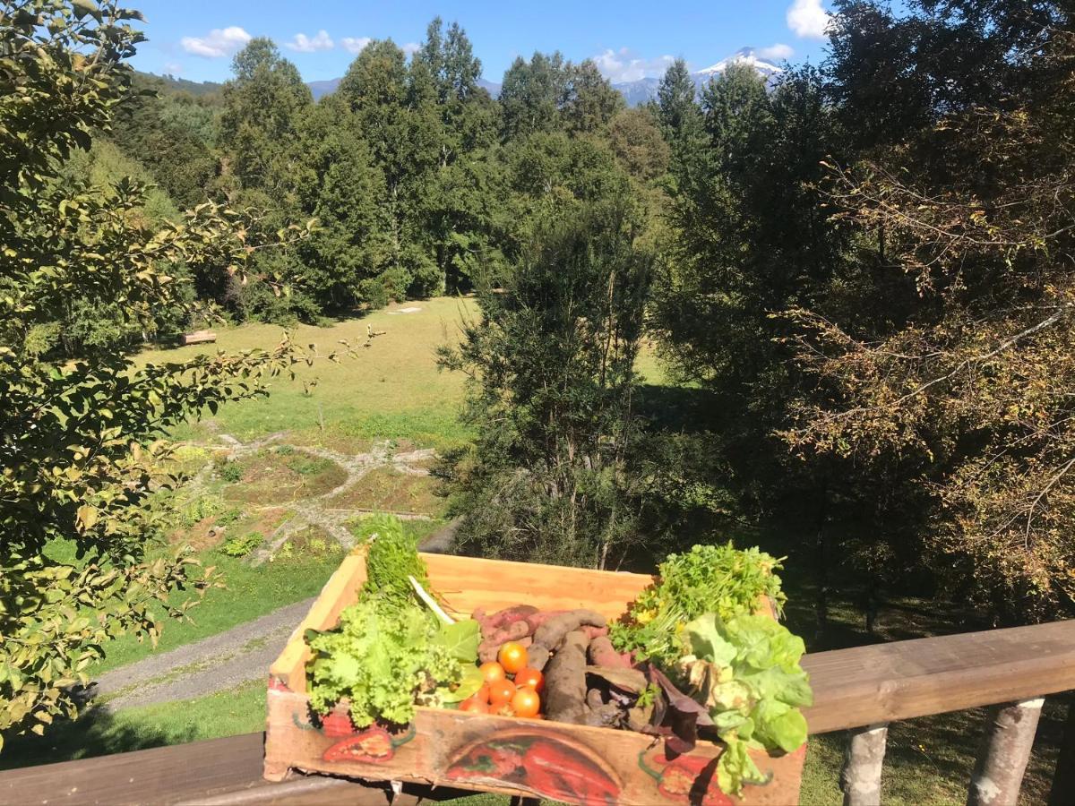 Elementos Eco Lodge Pucón Zewnętrze zdjęcie