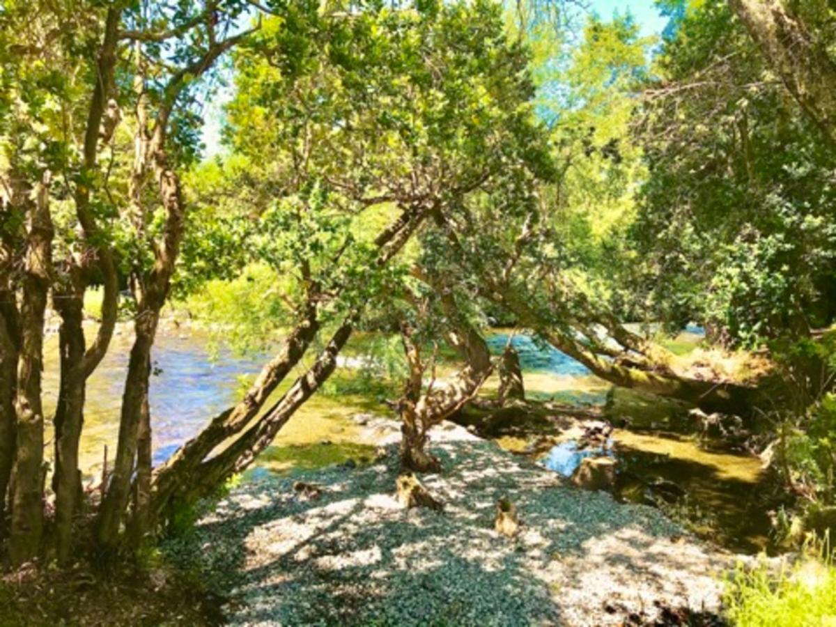 Elementos Eco Lodge Pucón Zewnętrze zdjęcie