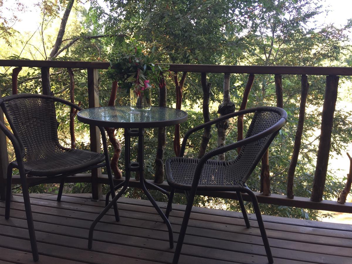 Elementos Eco Lodge Pucón Zewnętrze zdjęcie