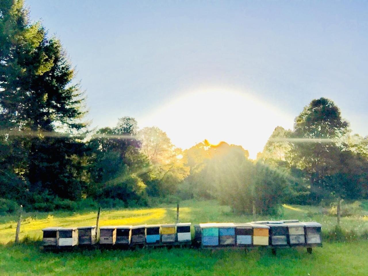 Elementos Eco Lodge Pucón Zewnętrze zdjęcie